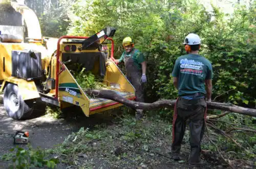 tree services McNary